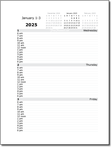 2025 Daily Planners Sample